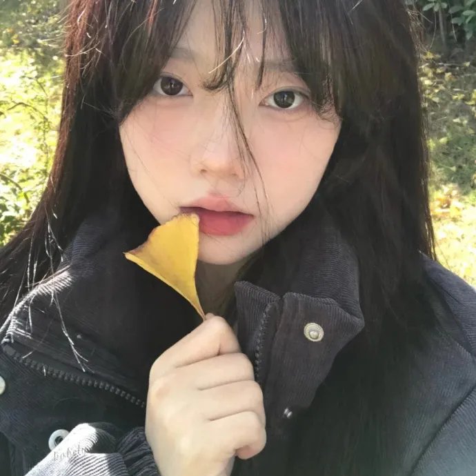 河东狮吼海报